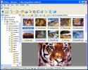 Náhled k programu XnView 1.96.5